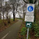 Pad naar de steiger