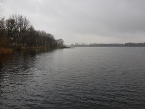 Oever Zegerplas met palenrif